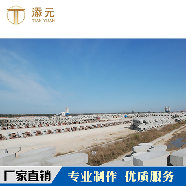 扭王字塊 工地